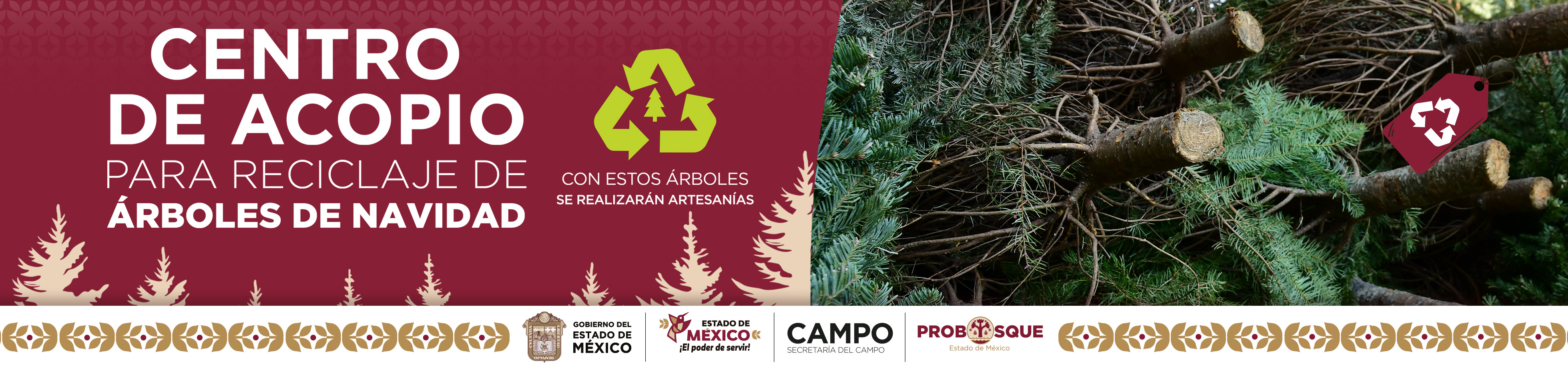 Centro de Acopio para reciclaje de Árboles de Navidad
